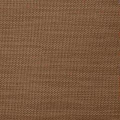 Sunbrella Augustine Nutmeg 5928-0018 Sling Upholstery Fabric