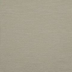Robert Allen Lucy Stripe Mist 210018 Multipurpose Fabric