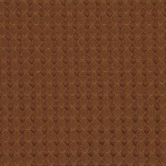 Robert Allen Checkmate Almond 210036 Multipurpose Fabric