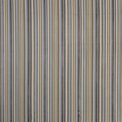 Robert Allen Laugh Lines Chambray Color Library Collection Indoor Upholstery Fabric