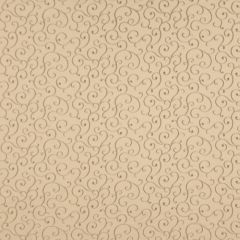 Robert Allen Visibly Soft Cappucino 210403 Multipurpose Fabric
