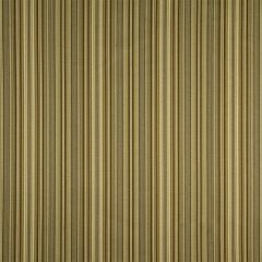 Robert Allen Lawford Stripe Goldenrod 210438 Multipurpose Fabric