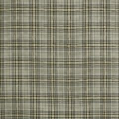 Robert Allen Luxe Glen Stone Java 210600 Indoor Upholstery Fabric