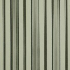 Robert Allen Luxe Stripe Cinder Ivory 210606 Indoor Upholstery Fabric