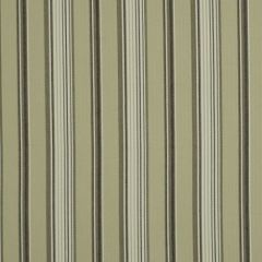 Robert Allen Luxe Stripe Stone Java 210609 Indoor Upholstery Fabric