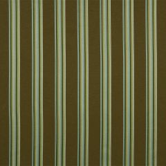 Robert Allen Triple Up Seaweed Essentials Multi Purpose Collection Indoor Upholstery Fabric