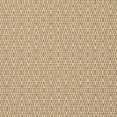 Robert Allen Diamond Braid Amber 210722 Indoor Upholstery Fabric
