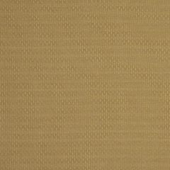 Robert Allen Wavy Goodbye Amber Color Library Collection Indoor Upholstery Fabric