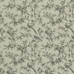 Robert Allen Bird Song Greystone 211201 Indoor Upholstery Fabric