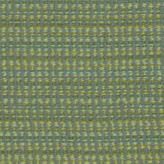 Robert Allen Speckle Road Aloe Color Library Collection Indoor Upholstery Fabric