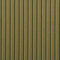 Robert Allen Abby Stripe Flint 211448 Multipurpose Fabric