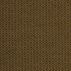 Robert Allen Devine Path Cashew 213035 Indoor Upholstery Fabric