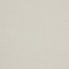 Robert Allen Bel Esprit Cloud 213036 Indoor Upholstery Fabric