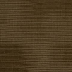 Robert Allen Bel Esprit Nutmeg Essentials Collection Indoor Upholstery Fabric