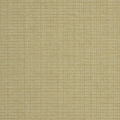 Robert Allen Casparini Wheat 213044 Indoor Upholstery Fabric