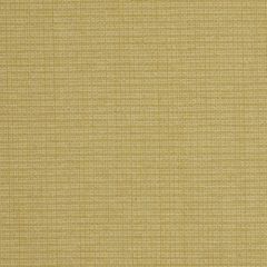 Robert Allen Casparini Sun 213051 Indoor Upholstery Fabric