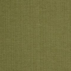 Robert Allen Casparini Leaf 213052 Indoor Upholstery Fabric