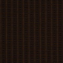 Robert Allen Westerly Terrain 213088 Indoor Upholstery Fabric
