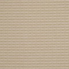 Robert Allen Woven Braid Sand Dollar Essentials Collection Indoor Upholstery Fabric