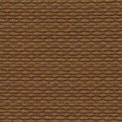 Robert Allen Jessica Lane Pecan Essentials Collection Indoor Upholstery Fabric