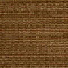 Robert Allen Chippanock Papaya Essentials Collection Indoor Upholstery Fabric