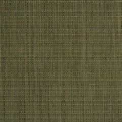 Robert Allen Chippanock Aloe Essentials Collection Indoor Upholstery Fabric