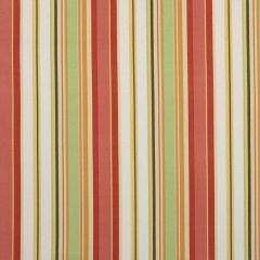 Robert Allen Stripe Cabana Coral Home Multi Purpose Collection Indoor Upholstery Fabric
