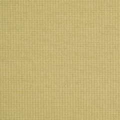 Robert Allen Cotton Loop Wheat 213522 Multipurpose Fabric