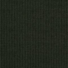 Robert Allen Cotton Loop Greystone 213532 Multipurpose Fabric