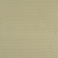 Robert Allen Knotted Lines Parchment 213576 Multipurpose Fabric