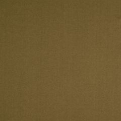 Robert Allen Shimmer Shine Cocoa 213667 Multipurpose Fabric
