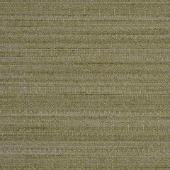 Robert Allen Snazzy Platinum Essentials Multi Purpose Collection Indoor Upholstery Fabric