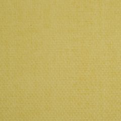 Robert Allen Baja Linen Emb Lemon Home Multi Purpose Collection Indoor Upholstery Fabric