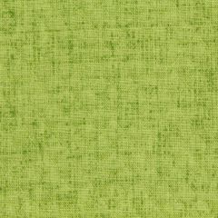 Robert Allen Baja Linen Emb Lime Home Multi Purpose Collection Indoor Upholstery Fabric