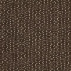 Beacon Hill Lattice Raffia Taupe 214504 Indoor Upholstery Fabric