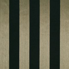 Beacon Hill Modern Raffia Ebony Indoor Upholstery Fabric