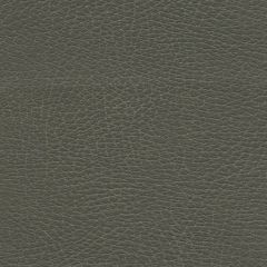 F. Schumacher Brisa Distressed Elephant 335-3870 Ultraleather Collection