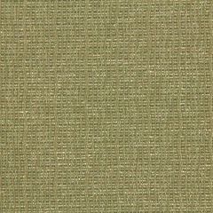 Robert Allen Contract Woven Shimmer Linen Indoor Upholstery Fabric