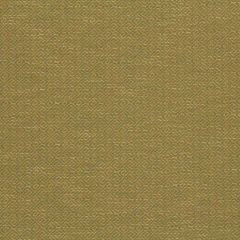 Robert Allen Wave Maze Citron Essentials Collection Indoor Upholstery Fabric