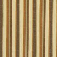 Robert Allen Mattison Amber 214875 Multipurpose Fabric