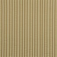 Robert Allen Jay Stripe Hay 215060 Drapery Fabric