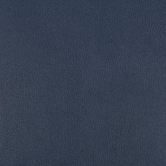 Kravet Contract Syrus Midnight Indoor Upholstery Fabric