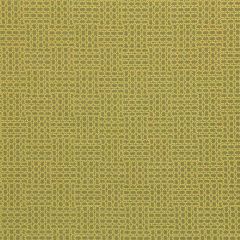 Robert Allen Linked Geo Citron Essentials Collection Indoor Upholstery Fabric