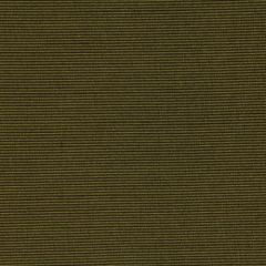 Robert Allen Winning Ways II Grass 215432 701 Window Collection Multipurpose Fabric