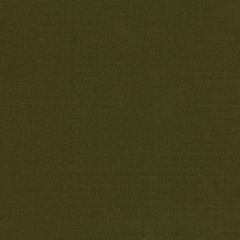 Robert Allen Contract Vinetta Grass 215500 701 Window Collection Multipurpose Fabric