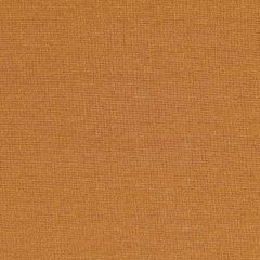 Robert Allen Tramore II Marmalade Essentials Multi Purpose Collection Indoor Upholstery Fabric