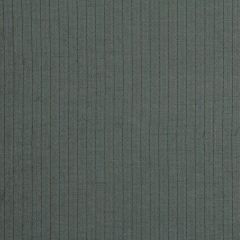 Robert Allen Contract Taboo Caspian Indoor Upholstery Fabric