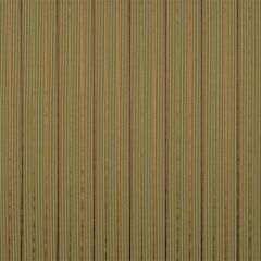 Robert Allen Bradys Stripe Citrus 216097 Drapery Fabric