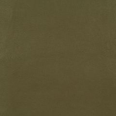 Robert Allen Contract Rico Olive 216621 Indoor Upholstery Fabric