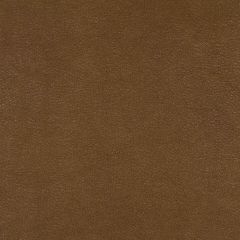 Robert Allen Contract Blake Buckwheat Indoor Upholstery Fabric